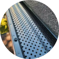 Gutter Guard Cleaning